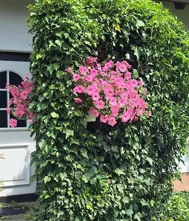 Appartement Dixiland
