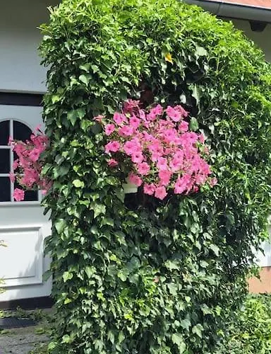 Apartamento Dixiland